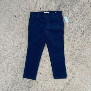 PacSun Corduroy Slim Chino Pants | Size 30x30